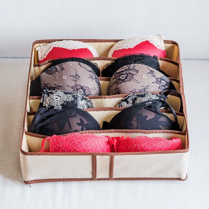 Органайзер для бюстгальтеров на 6 ячеек Bora-Bora