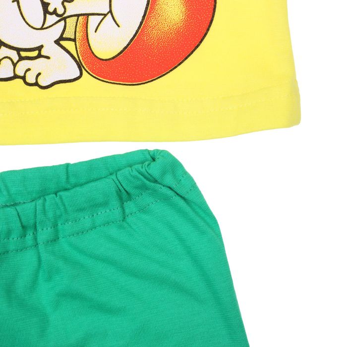 Комплект для мальчика (футболка, шорты) "Ежи", цвет зелёный, рост 98-104 (28) см