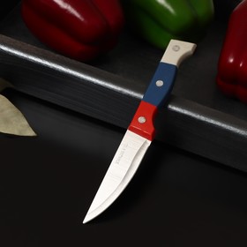 Нож кухонный «Триколор», лезвие 8,5 см Ош