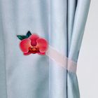 Орхидея Орхидея