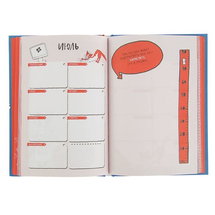 Еженедельник 64 листа "Без кота жизнь не та!", твёрдая обложка, глянцевая ламинация