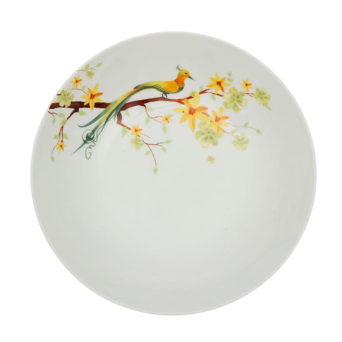 Тарелка суповая 21 см Paradise Bird
