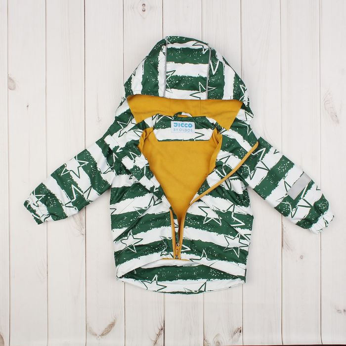 Ветровка для мальчика "Эрих", рост 92 см, цвет еловый 3К1720_М