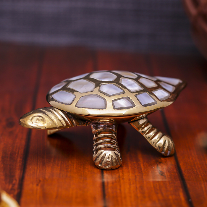 Сувенир "Черепаха-шкатулка" 11х7х4 см