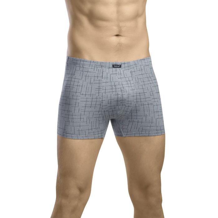 Трусы мужские, размер 46 (М), цвет серый