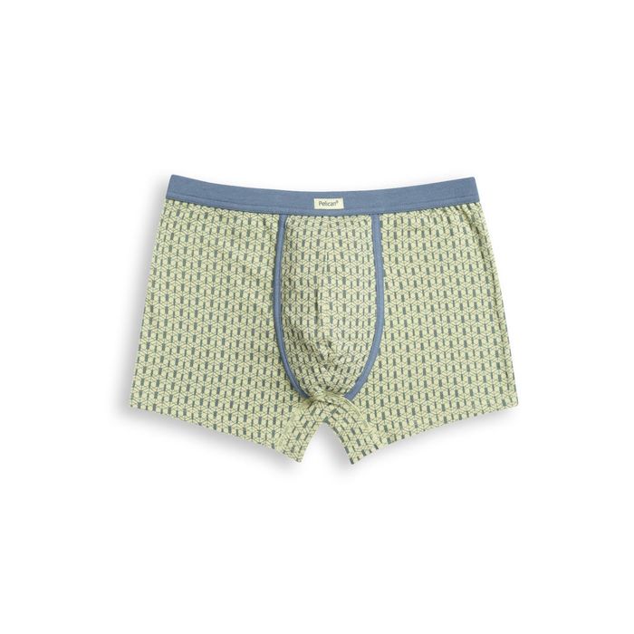 Трусы мужские, размер 48 (L), цвет зелёный