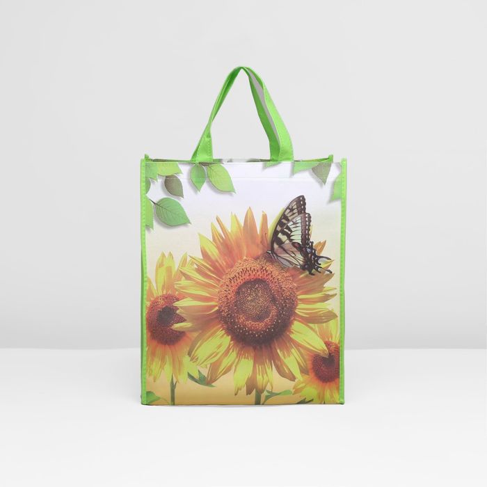 Сумка хозяйственная, 1 отдел, разноцветный