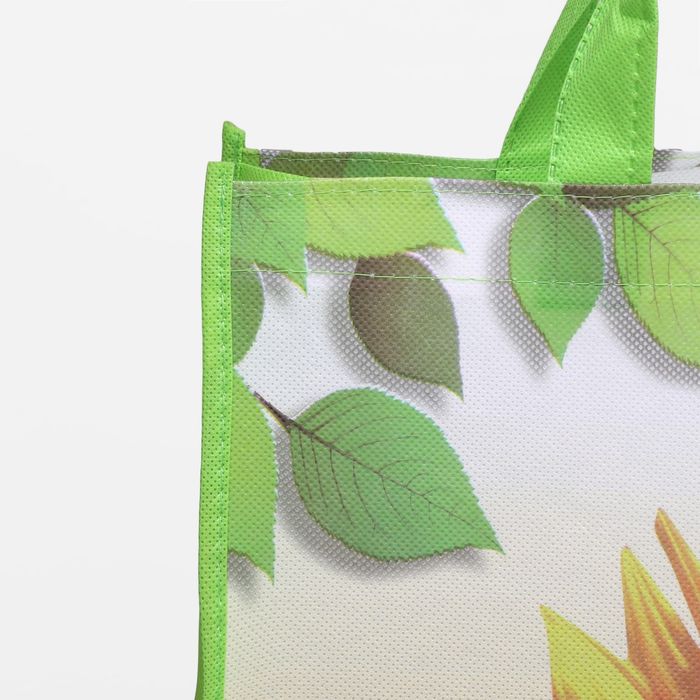 Сумка хозяйственная, 1 отдел, разноцветный