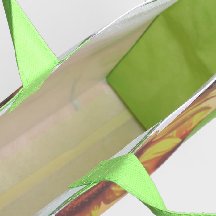 Сумка хозяйственная, 1 отдел, разноцветный