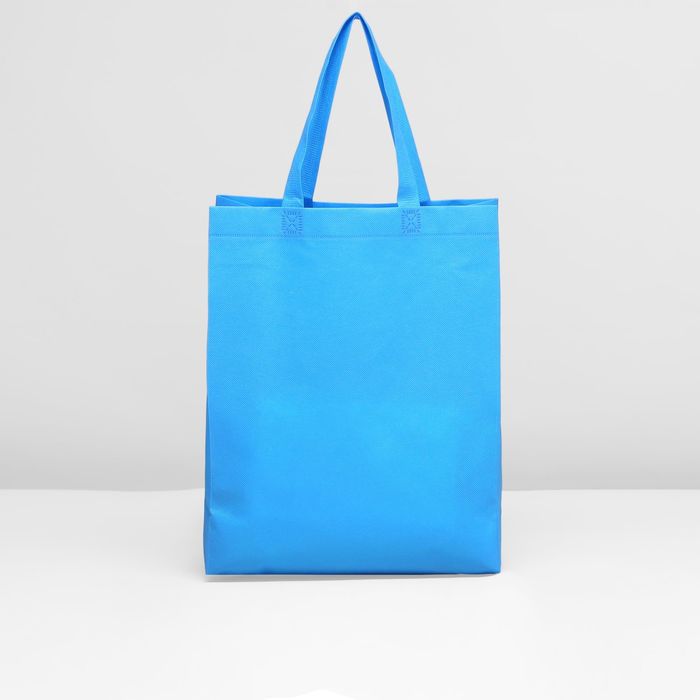 Сумка хозяйственная, 1 отдел, цвет голубой