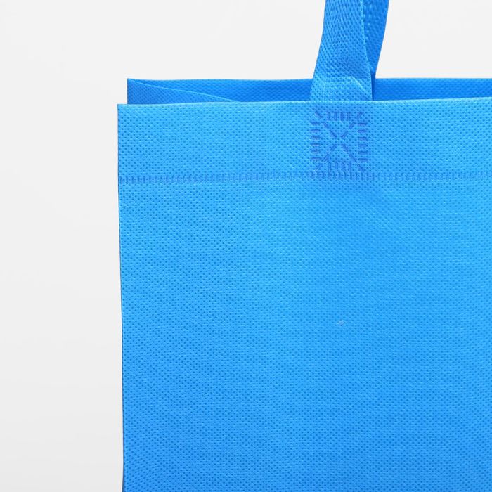 Сумка хозяйственная, 1 отдел, цвет голубой