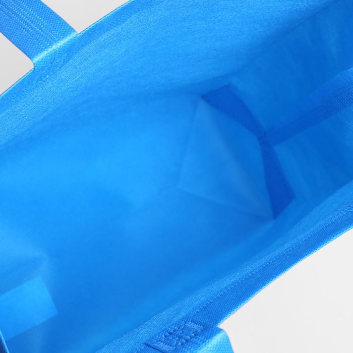 Сумка хозяйственная, 1 отдел, цвет голубой