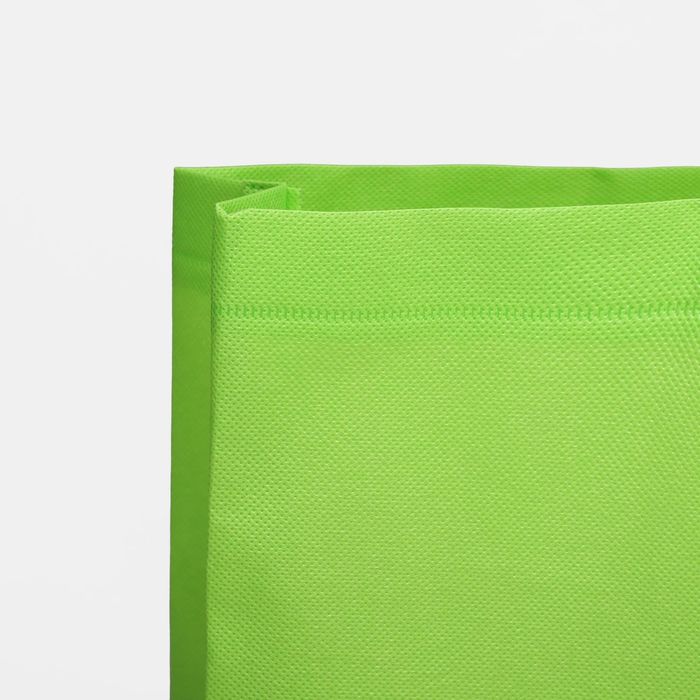 Сумка хозяйственная, 1 отдел, цвет зелёный