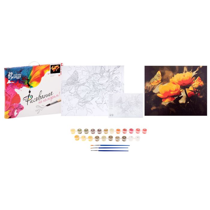 Рисование по номерам "Бабочки и жарки"