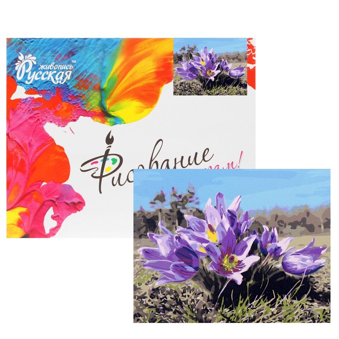 Рисование по номерам "Подснежники"