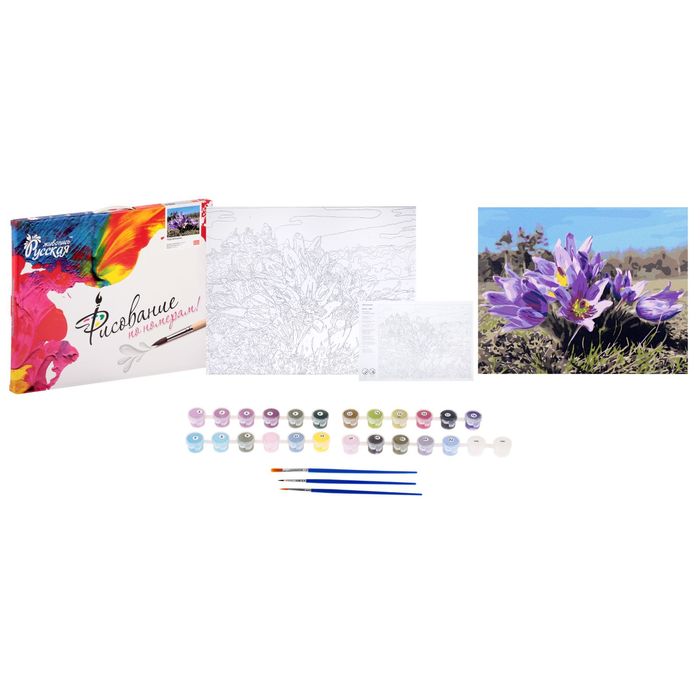 Рисование по номерам "Подснежники"