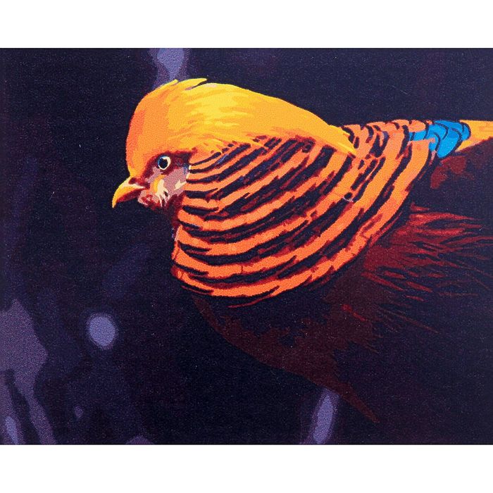 Рисование по номерам "Золотой фазан"