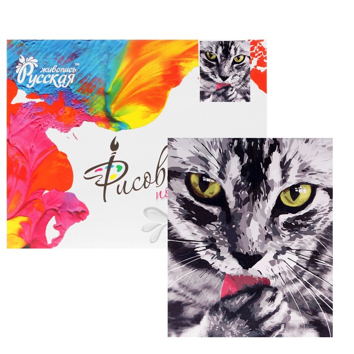 Рисование по номерам "Кот"