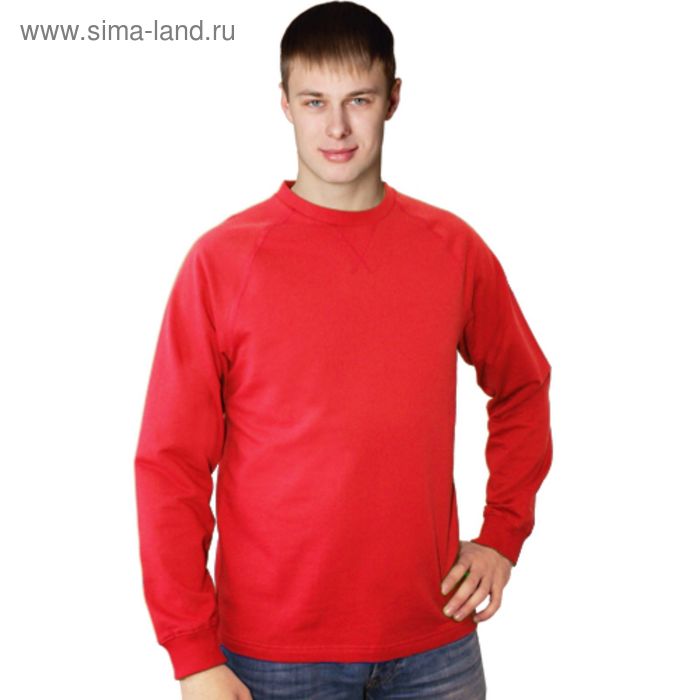 фото Толстовка мужская, размер 50, цвет красный stan