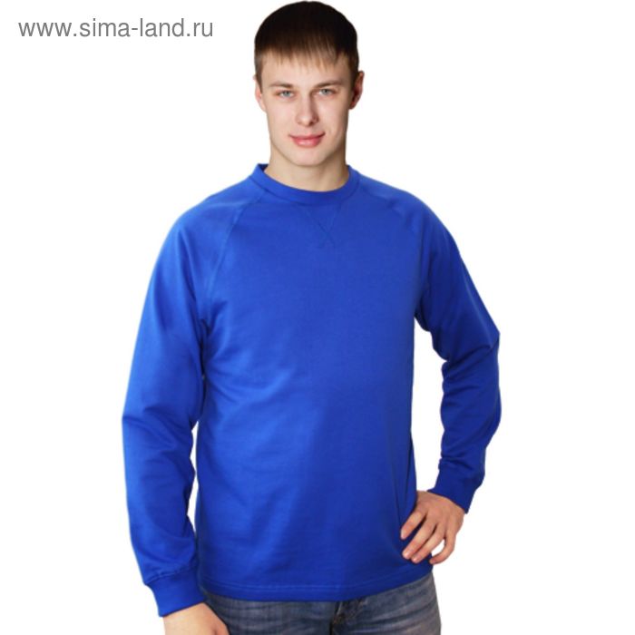 фото Толстовка мужская, размер 44, цвет синий stan