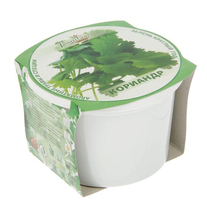 Набор для выращивания "Зелень круглый год" Кориандр