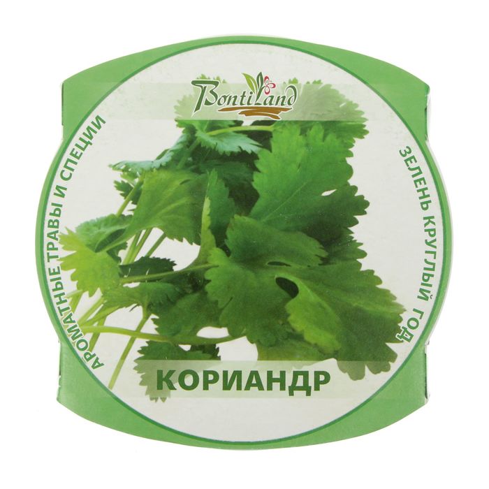 Набор для выращивания "Зелень круглый год" Кориандр