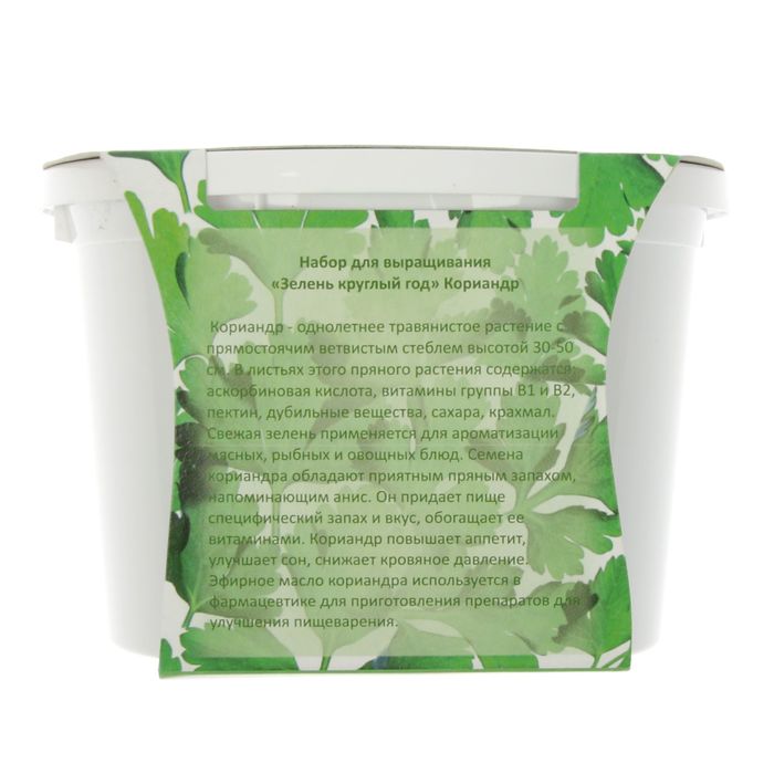 Набор для выращивания "Зелень круглый год" Кориандр