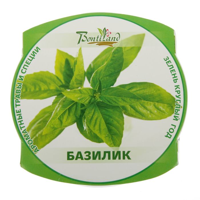 Набор для выращивания "Зелень круглый год" Базилик