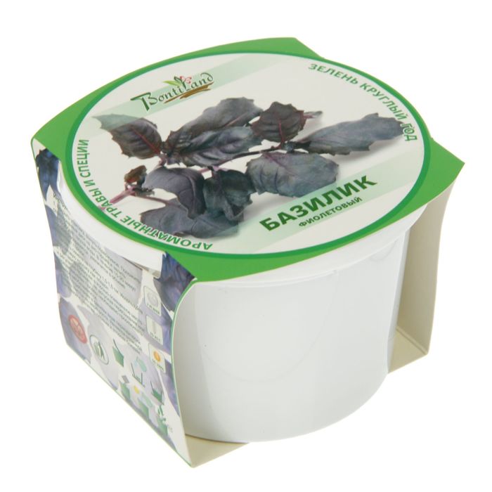 Набор для выращивания "Зелень круглый год" Базилик фиолетовый