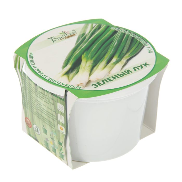 Набор для выращивания "Зелень круглый год" Зеленый лук