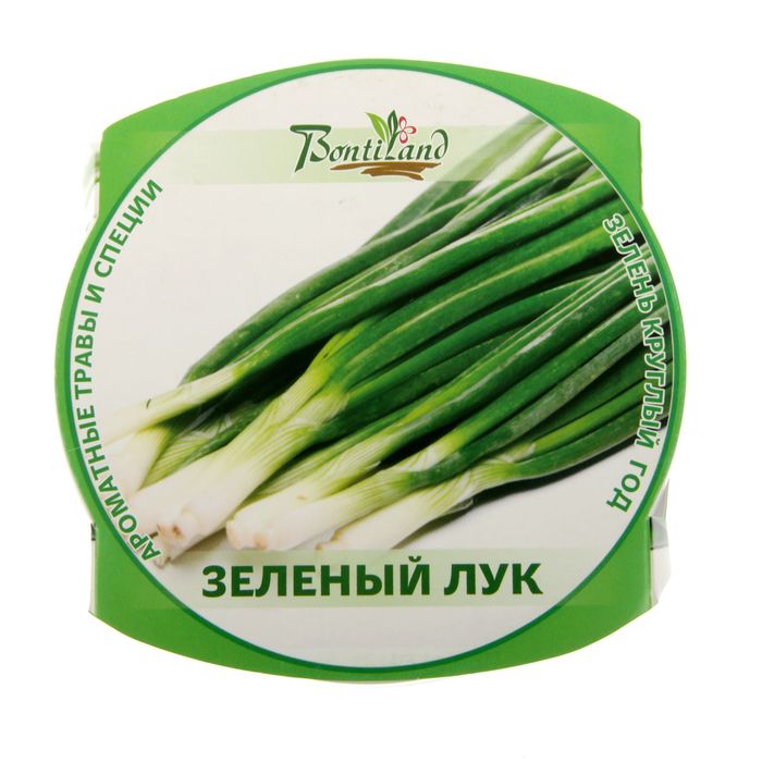 Набор для выращивания "Зелень круглый год" Зеленый лук