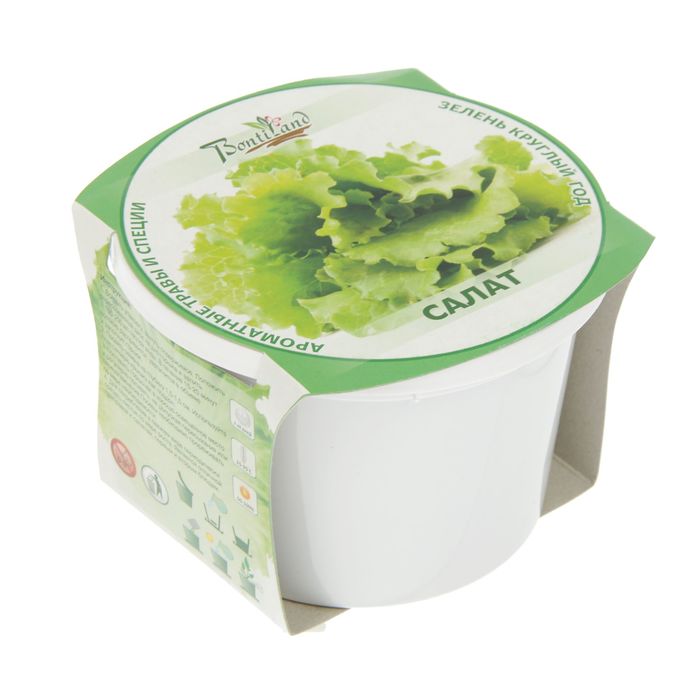 Набор для выращивания "Зелень круглый год" Салат