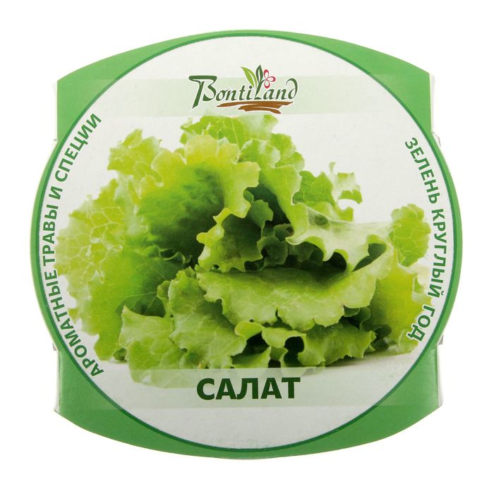 Набор для выращивания "Зелень круглый год" Салат