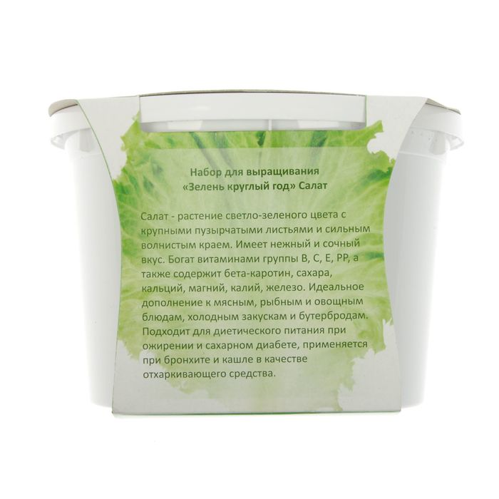 Набор для выращивания "Зелень круглый год" Салат