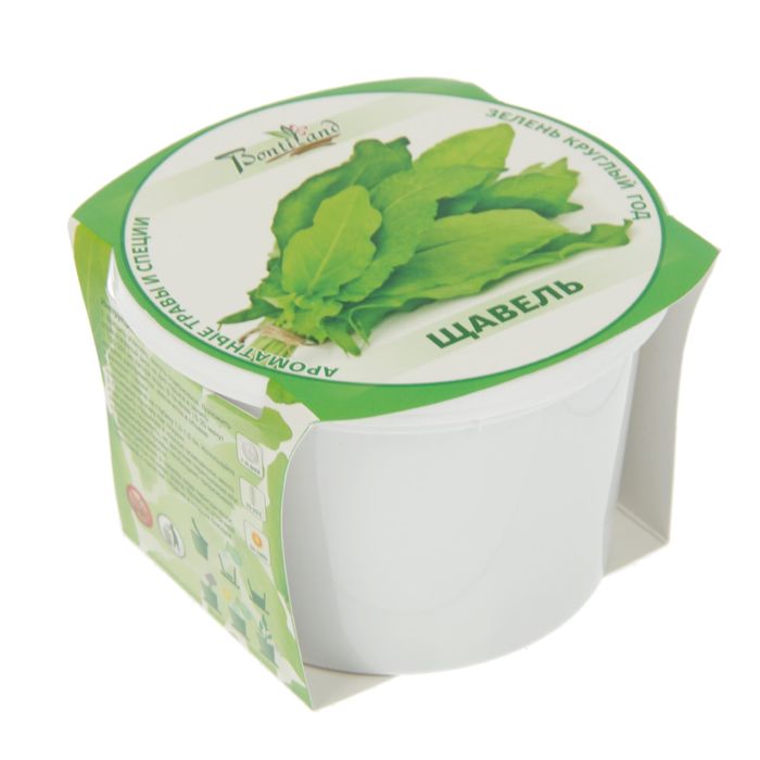 Набор для выращивания "Зелень круглый год" Щавель