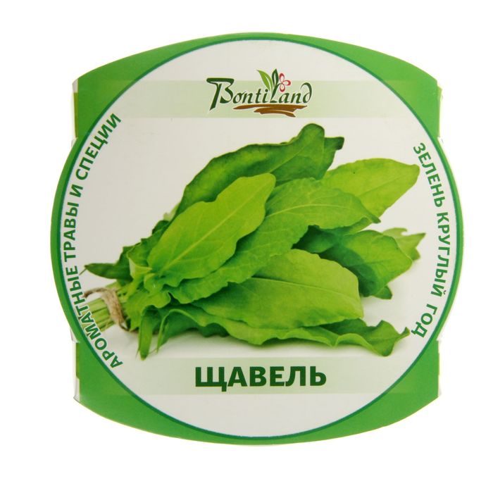 Набор для выращивания "Зелень круглый год" Щавель