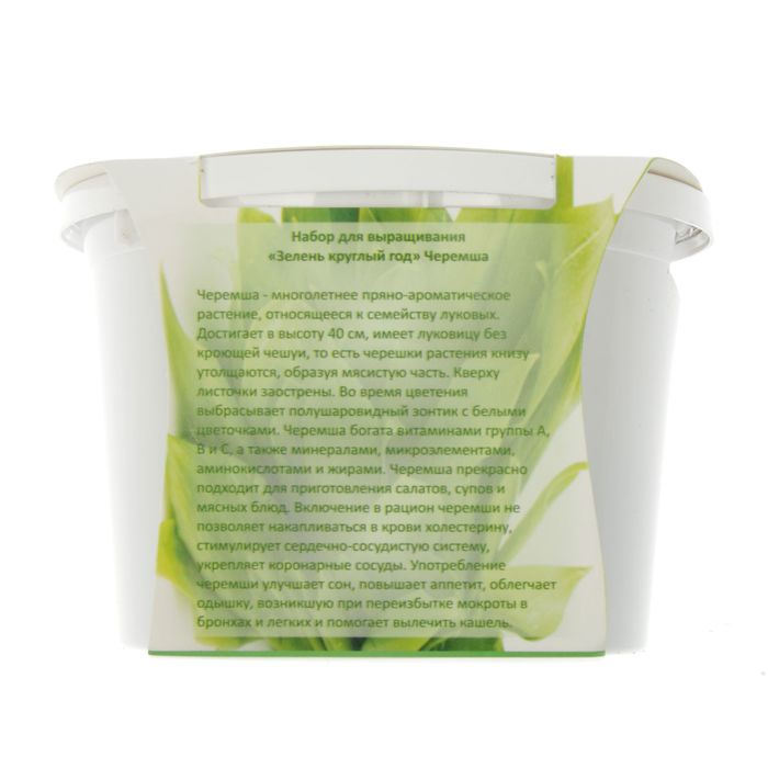 Набор для выращивания "Зелень круглый год" Черемша