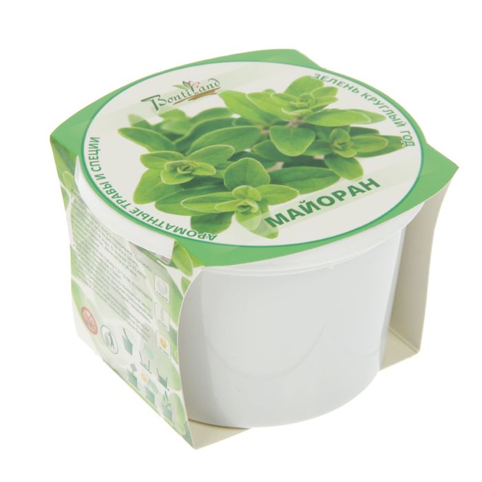 Набор для выращивания "Зелень круглый год" Майоран