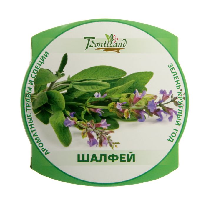 Набор для выращивания "Зелень круглый год" Шалфей