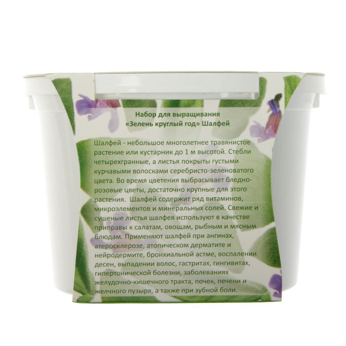 Набор для выращивания "Зелень круглый год" Шалфей