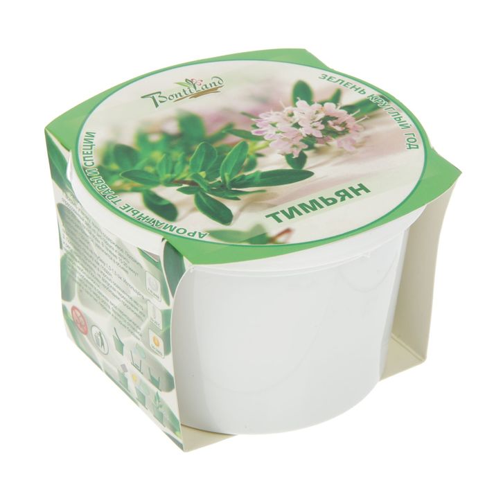 Набор для выращивания "Зелень круглый год" Тимьян (Чабрец)