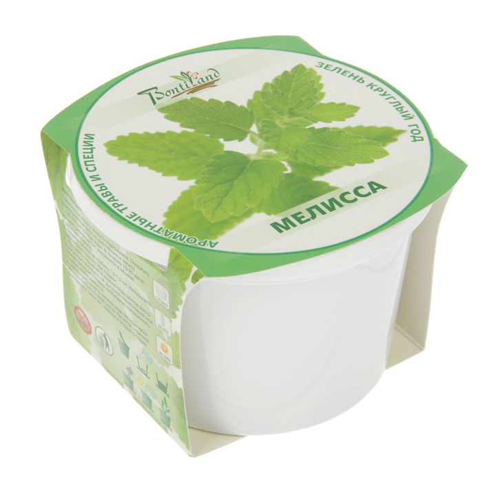 Набор для выращивания "Зелень круглый год" Мелисса