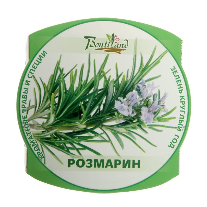 Набор для выращивания "Зелень круглый год" Розмарин