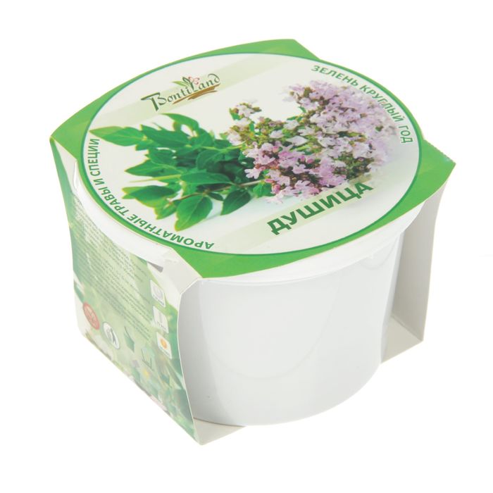 Набор для выращивания "Зелень круглый год" Душица