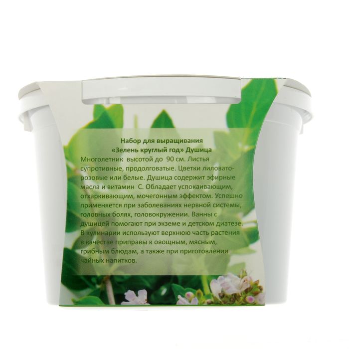 Набор для выращивания "Зелень круглый год" Душица