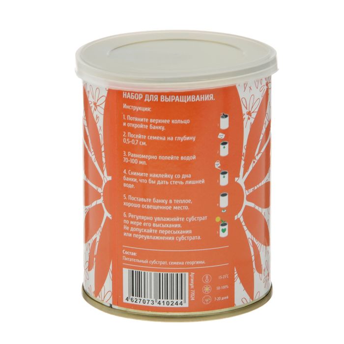 Растущая травка "Цветок в банке "Георгина"