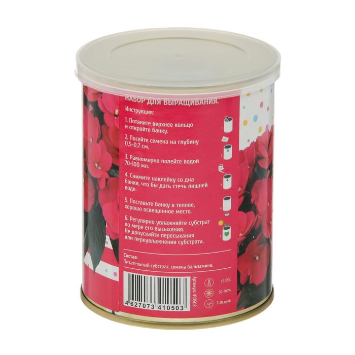 Растущая травка "Цветок в банке "Бальзамин"