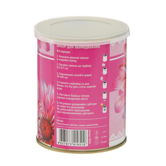 Растущая травка "Цветок в банке "Хризантема"