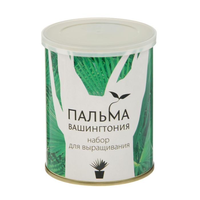 Растущая травка "Растение в банке "Пальма Вашингтония"