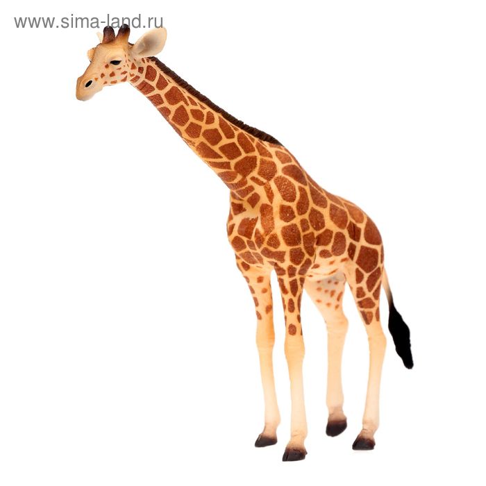 Фигурка «Сетчатый жираф» фигурка safari ltd сетчатый жираф 111189 24 см